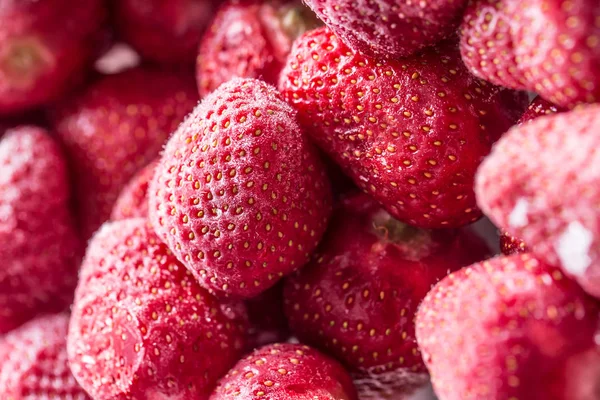 Jordgubbe. Frysta jordgubbar som omfattas av frost - närbild — Stockfoto