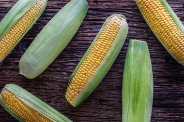Mısır. Eski rustik meşe masada taze Mısır