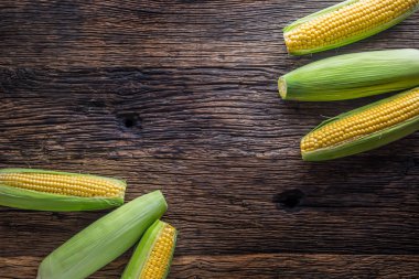 Mısır. Eski rustik meşe masada taze Mısır