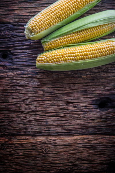 Corn. Fresh corn on old rustic oak table