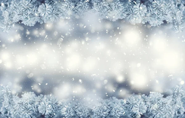 Graniţa de iarnă şi de Crăciun. Ramuri de pin acoperite de îngheț în atmosferă înzăpezită — Fotografie, imagine de stoc
