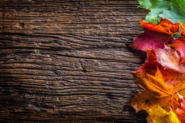 Autumn Leaves. Autumn colorful leaves on rustic wooden table — Stock Photo, Image