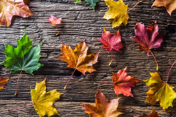 Sonbahar yaprakları. Renkli rustik ahşap masa üzerinde yaprak