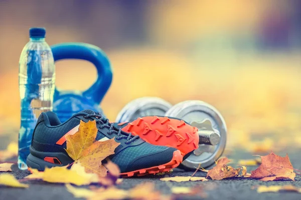 Paar blaue Sportschuhe Wasser und Hanteln auf einem Weg in einer Baumallee mit Ahornblättern aufgelegt - Zubehör für Laufgymnastik oder Workout — Stockfoto