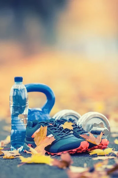 Paar blaue Sportschuhe Wasser und Hanteln auf einem Weg in einer Baumallee mit Ahornblättern aufgelegt - Zubehör für Laufgymnastik oder Workout — Stockfoto