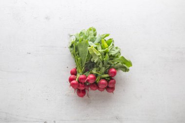 Görünümü taze turp beton zemin üzerine üst