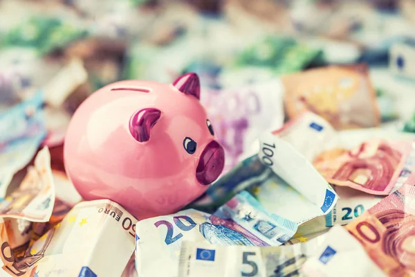 Euro-Geld Euro-Banknoten Euro-Währung und Sparschwein — Stockfoto