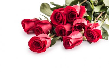 Kırmızı gül. Beyaz izole kırmızı gül buketi