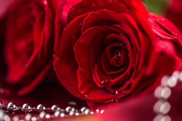 Röda rosor. Bukett röda rosor. Alla hjärtans dag, bröllop dag bakgrund. Vatten droppar på rosor kronblad — Stockfoto