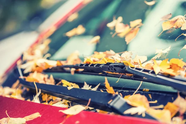 Őszi levelek bukott a kocsi ablak és szervek — Stock Fotó
