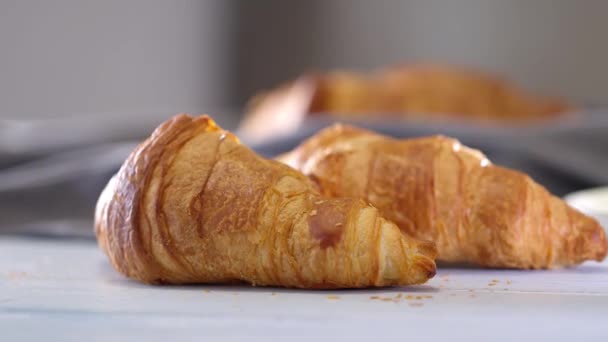 Croissants Frescos Crujientes Servidos Cafetería Grabación Vídeo 50Fps — Vídeo de stock