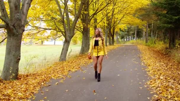 Attraente Giovane Donna Con Sorriso Sensuale Passeggiando Nel Parco Autunnale — Video Stock