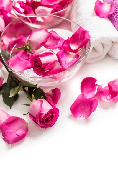 Pink roses petals in bowl with towels and pure water over white.. Spa and wellness concept Royalty Free Stock Photos