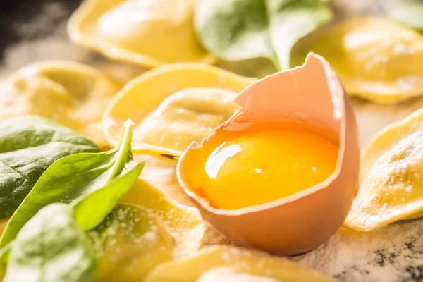 Raw ravioli with flour egg musrooms and and spinach. Italian or mediterranean healthy cuisine — 스톡 사진