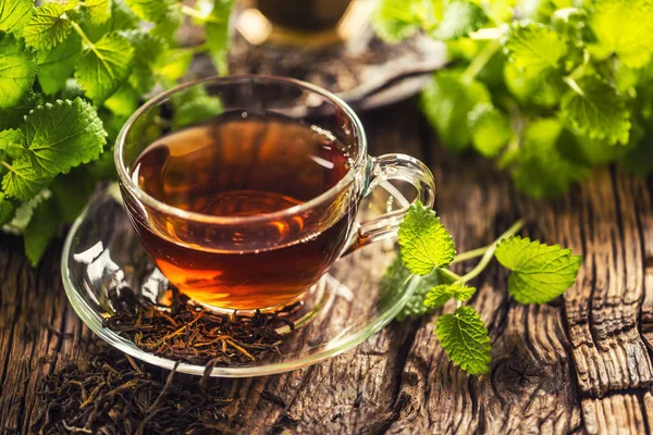 A cup of melissa tea with herbs on wooden table — Stock Photo, Image