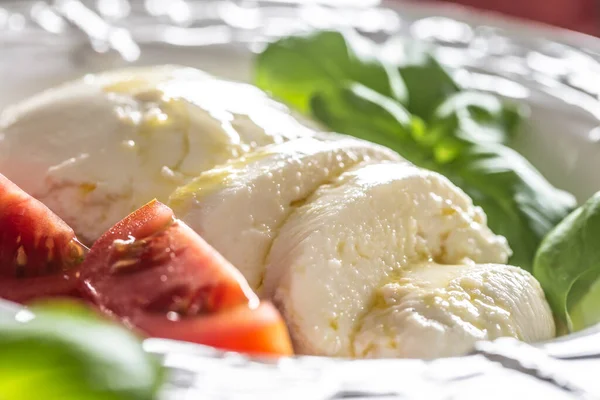 Mozzarella kaas tomaten basilicum en olijfolie. Capresesalade - Italiaanse of mediterrane maaltijd of voorgerecht — Stockfoto