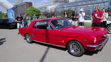 Mustang kas araba geriye doğru çekerek. Yüksek motor performansı