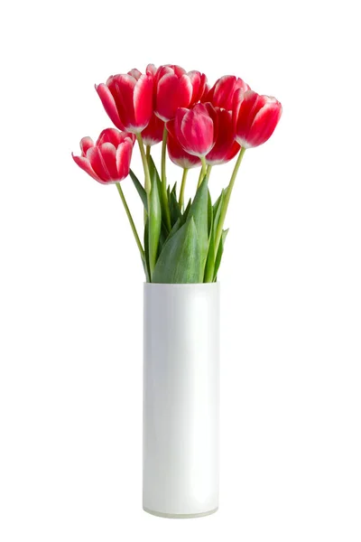 Bouquet of red tulips in white vase isolated on white background — Stock Photo, Image