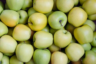 Yeşil ve sarı elmalar. Çeşitli Golden elma. Doku. Arka plan