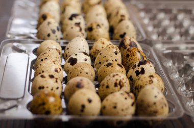 Koyu ahşap arka plan üzerinde plastik bir kapta bıldırcın yumurtası. Yakın çekim