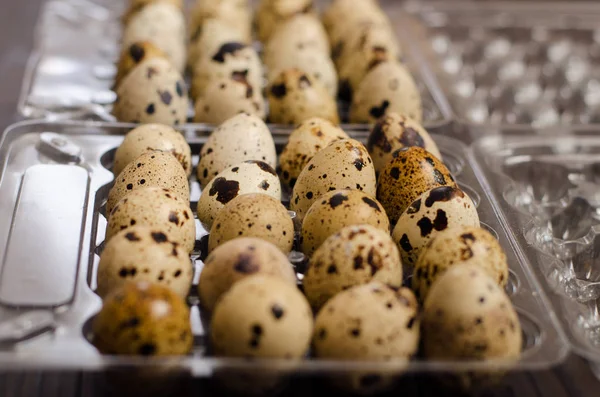 Koyu ahşap arka plan üzerinde plastik bir kapta bıldırcın yumurtası. Yakın çekim