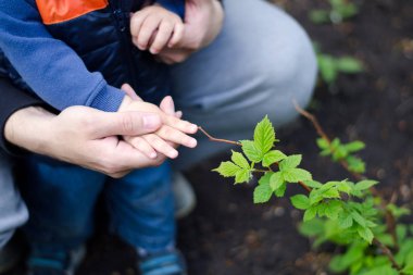 Baba oğlu bahçe keşfetmek için yardım. Ortak eğlence, eğlence, çocuk ve deneyim aktarımı kavramı.