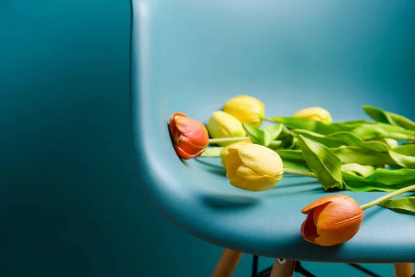 Tulipas no interior em um estilo minimalista. Monocor. Espaço de cópia — Fotografia de Stock