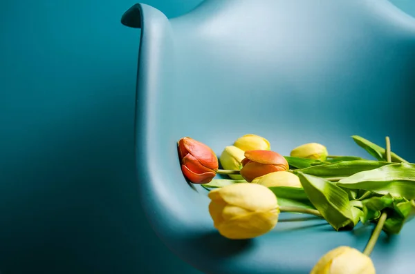 Тюльпани в інтер'єр в стилі мінімалізм. Monocolor. Копія простір — стокове фото
