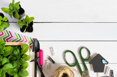 Bebek, ateş, fide, fidan topper ve Bahçe araçları ile mezarda filizlenir. Düz kopya alanı ile yatıyordu