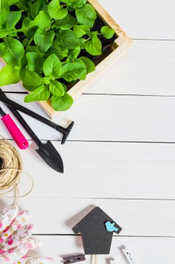 Genç, ateş, fide, fidan topper ve Bahçe aletleri ile mezarda filizlenir. Düz kopya alanı ile yatıyordu