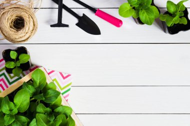 Bebek, ateş, fide, fidan bir ahşap kutu Bahçe araçları filizlenir. Düz kopya alanı ile yatıyordu