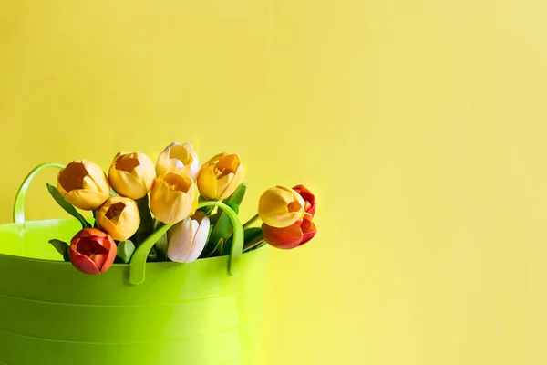 Bukiet z żółto- biało -pomarańczowe tulipany w zielony ogród kosz na jasnym tle. — Zdjęcie stockowe