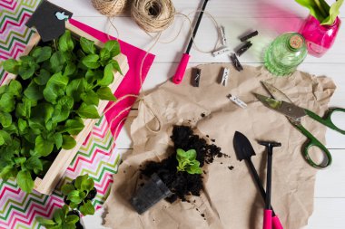 Bebek, ateş, fide, fidan topper ve Bahçe araçları ile mezarda filizlenir. Düz yatıyordu