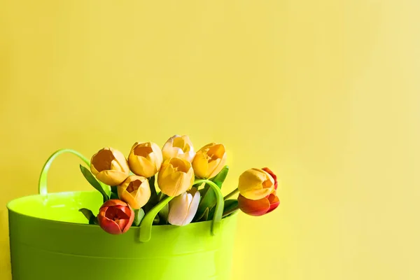 Buquê de tulipas amarelas, brancas e laranja em cesta jardim verde no fundo brilhante . — Fotografia de Stock