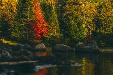 Karanlık Güz sezon Kanada