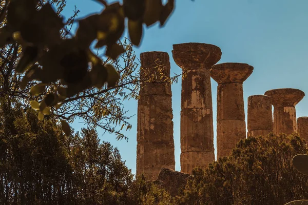 Templo Hércules Entre Árboles —  Fotos de Stock