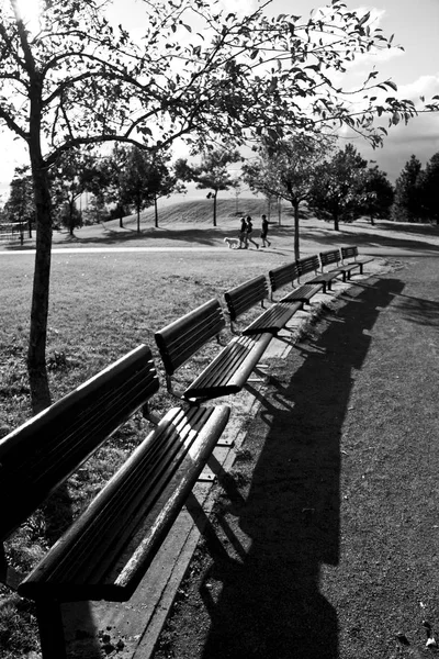 Foto Preto Branco Filiais Parque — Fotografia de Stock