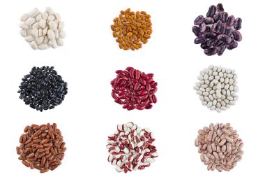 Beyaz bir arka plan üzerinde izole farklı fasulye çeşitleri topluluğu.