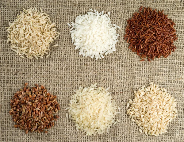 Pirinç Çeşitleri Farklı Arka Plan Üzerine Sivas Tan Altı Yığınları — Stok fotoğraf