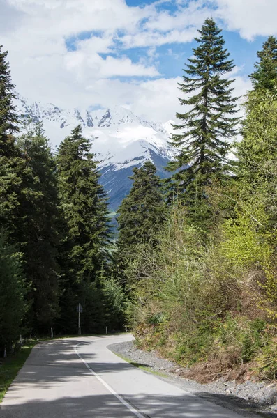 Dağ yolu ormandaki bir arka plan karla kaplı tepeler ve mavi gökyüzü.