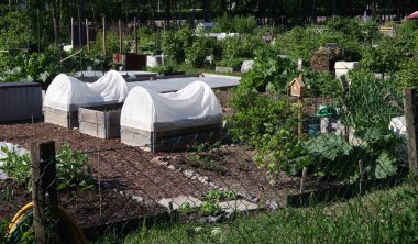 İsveç 'in Uppsala kentinin ortasındaki küçük sebze bahçeleri ve seralar..