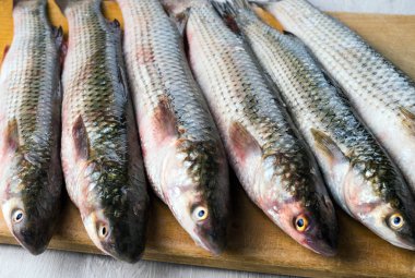 Tahta kesme tahtasında taze kefal. Seçici odak.