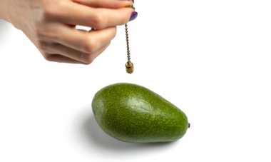 Dowser with hand-held pendulum checks the usefulness of avocado fruit. Selective focus. Isolated on white background. clipart