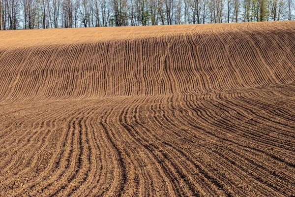 Plowed Field Hillside Background Row Trees Spring Sunny Day Selective — Stock Photo, Image