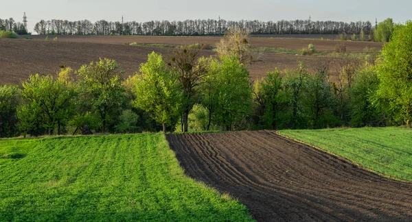 Paysage Printanier Avec Terres Arables Champ Ligne Électrique Dans Les — Photo