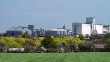 Köy manzarası ve tarım endüstrisi kompleksi önünde filizlenen yeşil alan..