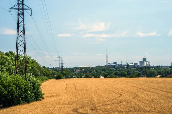 Wheat field and power line on the background of the village and agriculture.