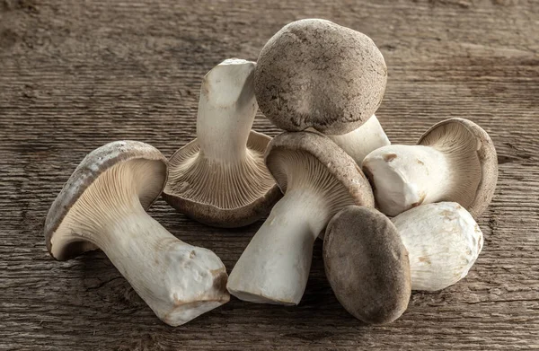 King trumpet mushroom on a background of wood texture. Useful edible mushrooms.