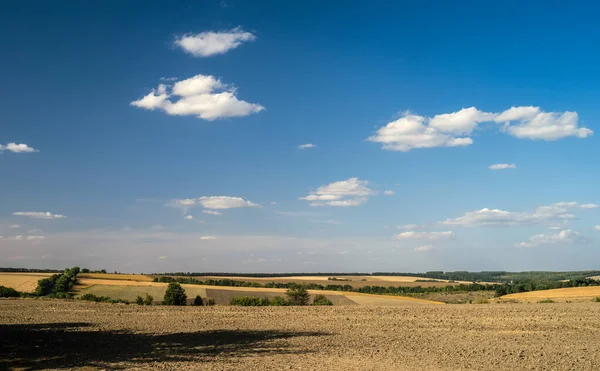 Campo Arado Después Cosecha Paisaje Verano Con Cielo Azul Nubes — Foto de Stock