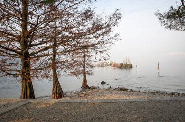 sonbaharda gölde belirli ağaçlar
